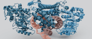 three-dimensional structures of protein-drug complexes